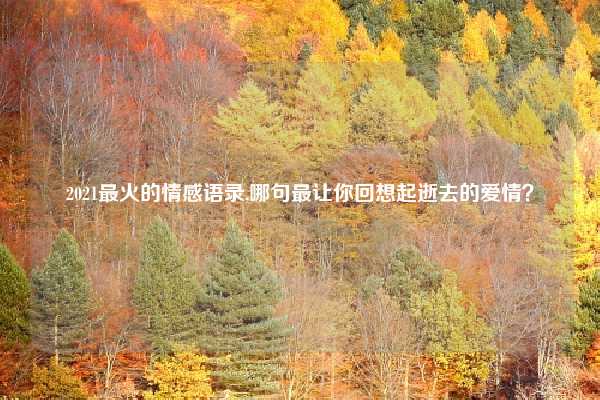 2021最火的情感语录,哪句最让你回想起逝去的爱情？
