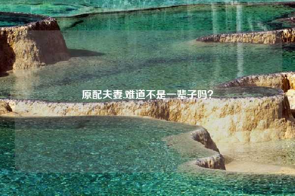 原配夫妻,难道不是一辈子吗?