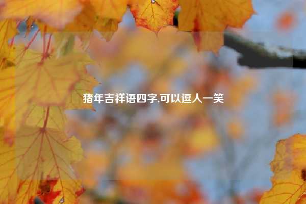 猪年吉祥语四字,可以逗人一笑