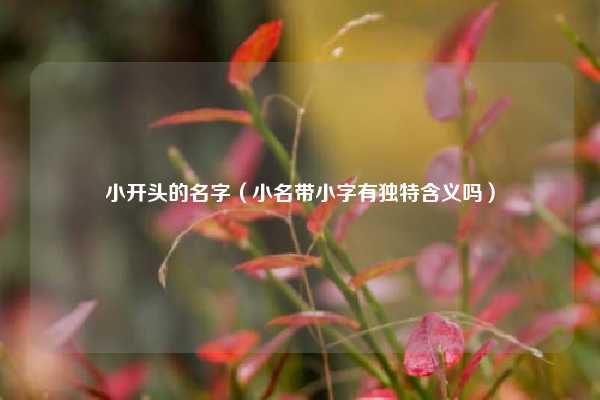 小开头的名字（小名带小字有独特含义吗）