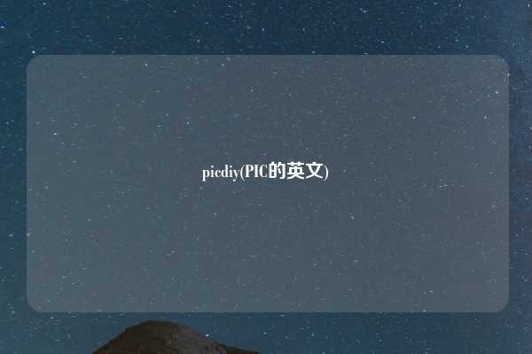 picdiy(PIC的英文)