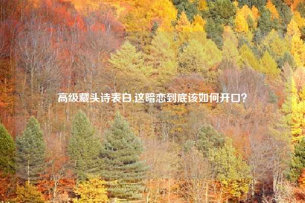 高级藏头诗表白,这暗恋到底该如何开口?