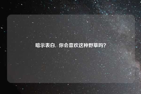 暗示表白, 你会喜欢这种野草吗?