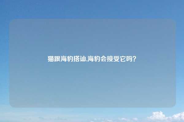 猫跟海豹搭讪,海豹会接受它吗?