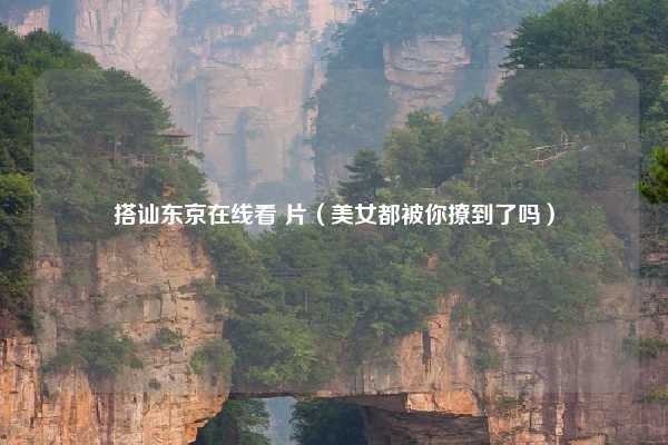 搭讪东京在线看 片(美女都被你撩到了吗)