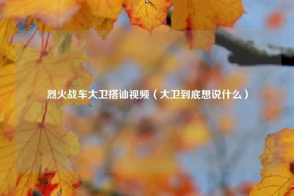 烈火战车大卫搭讪视频(大卫到底想说什么)