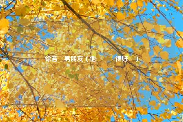 徐若瑄男朋友（他們關係很好嗎）