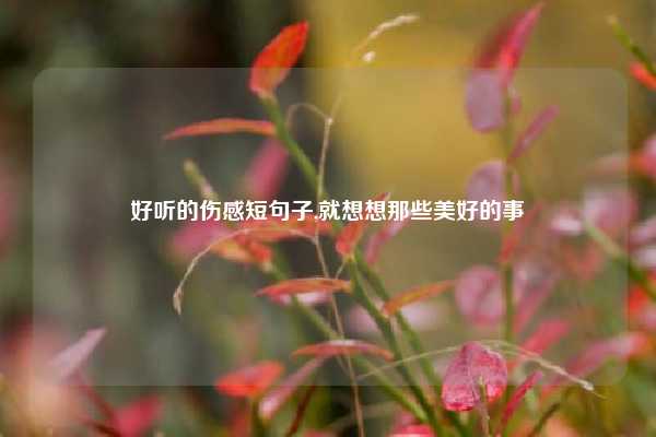 好听的伤感短句子,就想想那些美好的事
