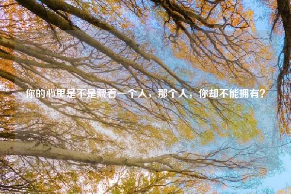 你的心里是不是藏着一个人，那个人，你却不能拥有？