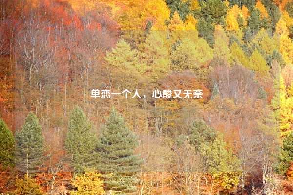 单恋一个人，心酸又无奈