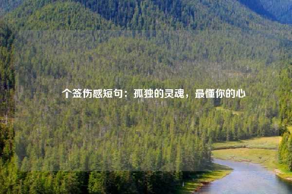 ✨  个签伤感短句：孤独的灵魂，最懂你的心