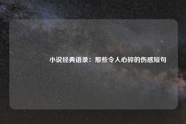 💔 小说经典语录:那些令人心碎的伤感短句