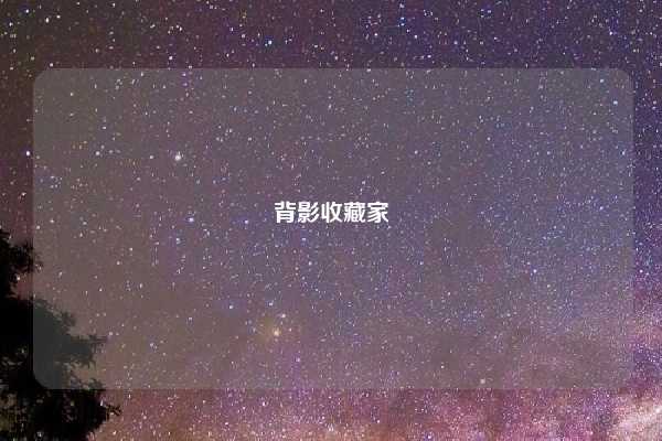 背影收藏家