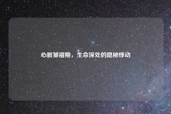 心脏皱褶期,生命深处的隐秘悸动