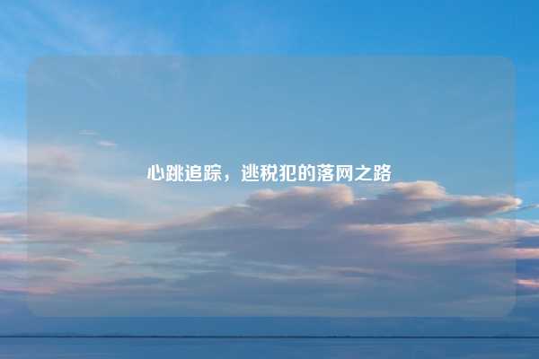 心跳追踪,逃税犯的落网之路