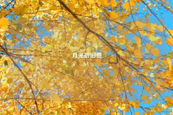 月光折旧费