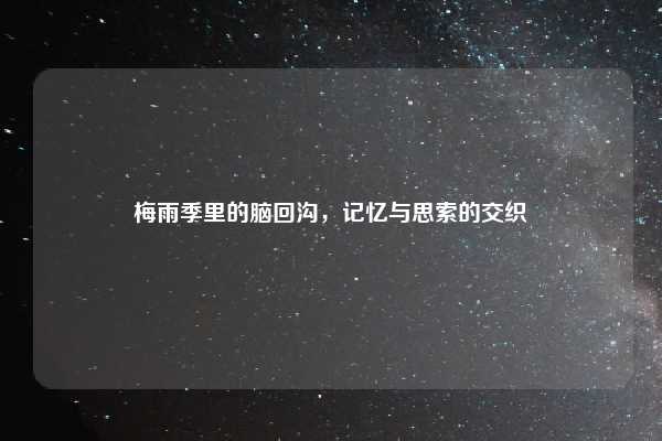 梅雨季里的脑回沟，记忆与思索的交织