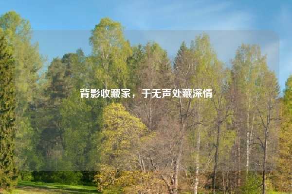 背影收藏家，于无声处藏深情