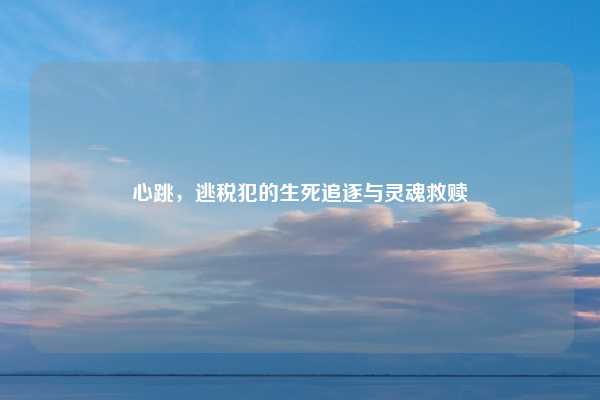 心跳，逃税犯的生死追逐与灵魂救赎