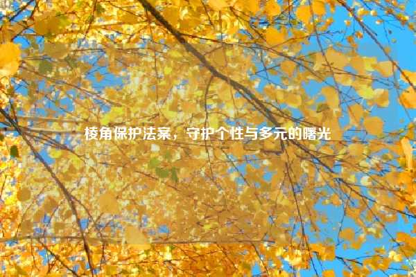 棱角保护法案,守护个性与多元的曙光