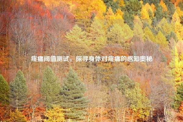 疼痛阈值测试，探寻身体对疼痛的感知奥秘