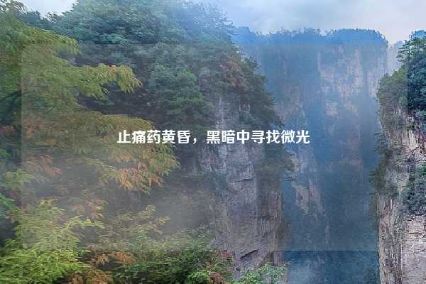 止痛药黄昏,黑暗中寻找微光