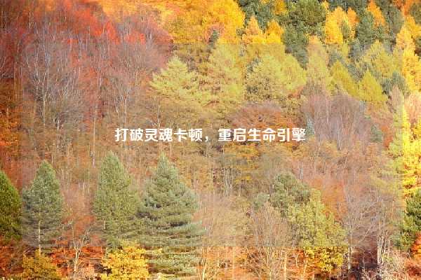 打破灵魂卡顿,重启生命引擎