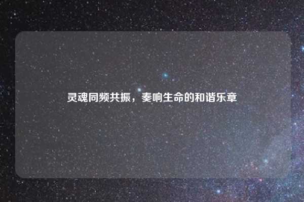 灵魂同频共振,奏响生命的和谐乐章