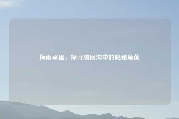 梅雨季里,探寻脑回沟中的隐秘角落