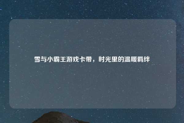 雪与小霸王游戏卡带,时光里的温暖羁绊