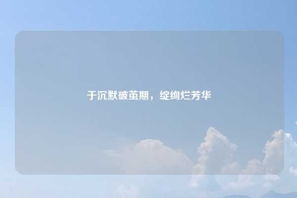 于沉默破茧期，绽绚烂芳华