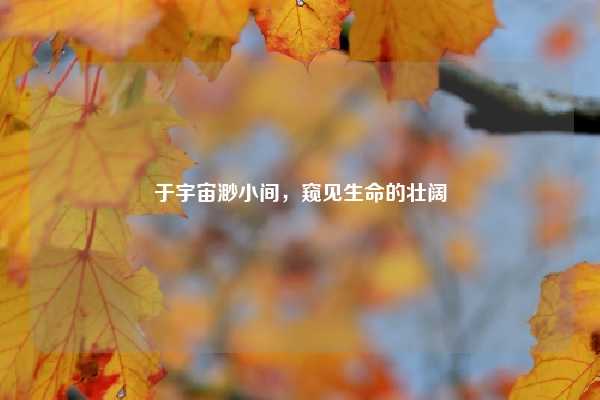 于宇宙渺小间,窥见生命的壮阔