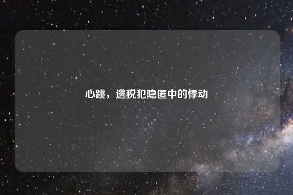 心跳,逃税犯隐匿中的悸动