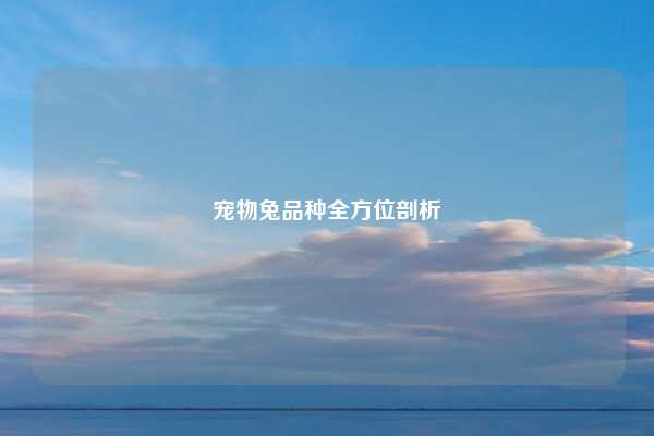 宠物兔品种全方位剖析