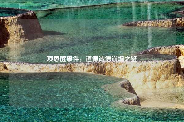 项思醒事件,道德诚信崩塌之鉴