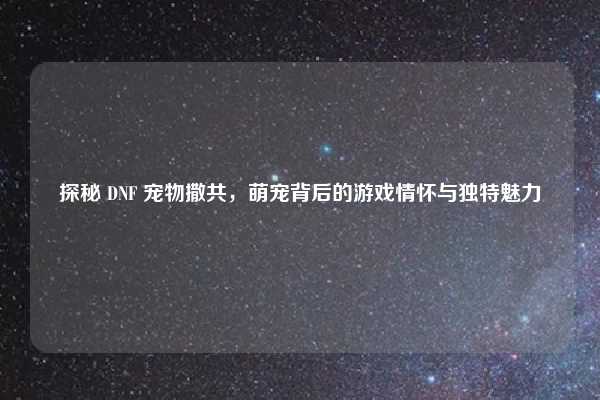 探秘 DNF 宠物撒共,萌宠背后的游戏情怀与独特魅力