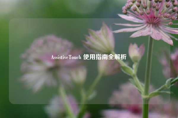 AssistiveTouch 使用指南全解析