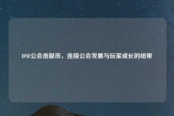 DNF公会贡献币,连接公会发展与玩家成长的纽带