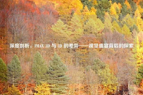 深度剖析，IMAX 3D 与 3D 的差异——视觉盛宴背后的探索