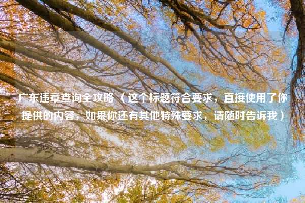 广东违章查询全攻略 （这个标题符合要求，直接使用了你提供的内容，如果你还有其他特殊要求，请随时告诉我）