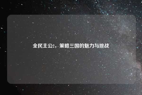 全民主公2,策略三国的魅力与挑战