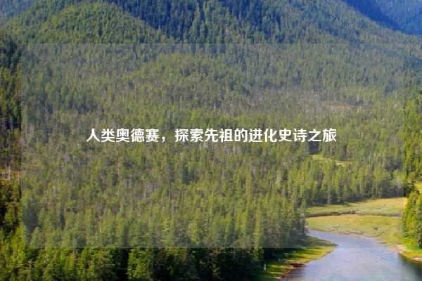 人类奥德赛,探索先祖的进化史诗之旅