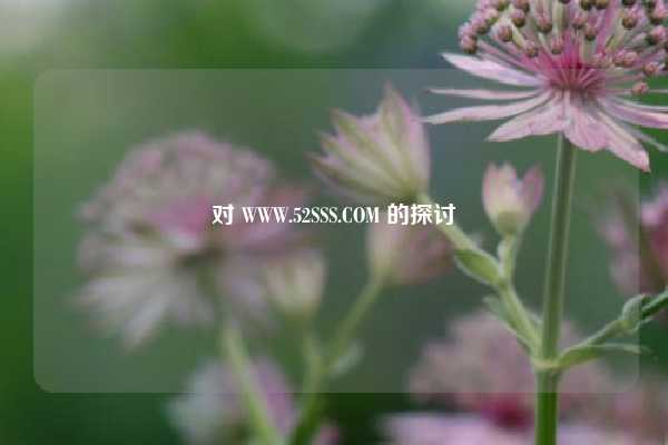 对 WWW.52SSS.COM 的探讨