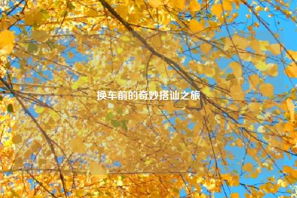 换车前的奇妙搭讪之旅