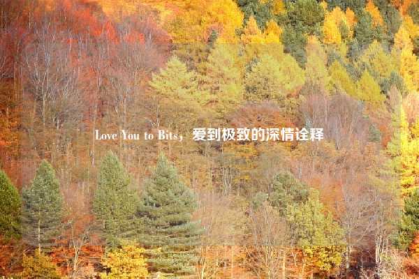 Love You to Bits,爱到极致的深情诠释