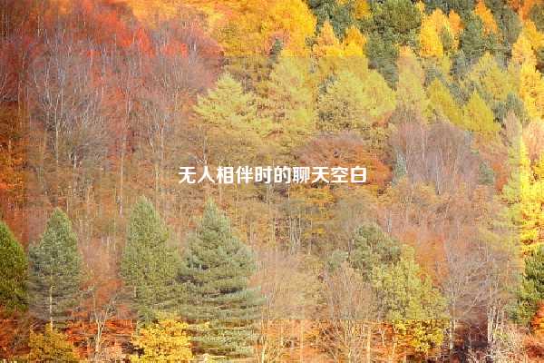 无人相伴时的聊天空白