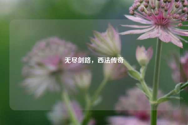 无尽剑路,西法传奇