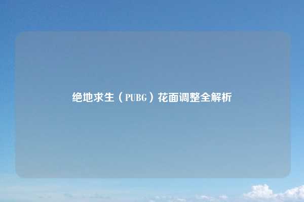 绝地求生(PUBG)花面调整全解析