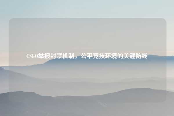 CSGO举报封禁机制,公平竞技环境的关键防线