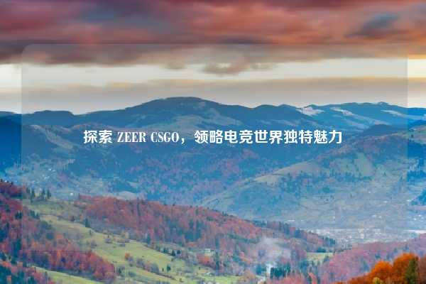 探索 ZEER CSGO,领略电竞世界独特魅力